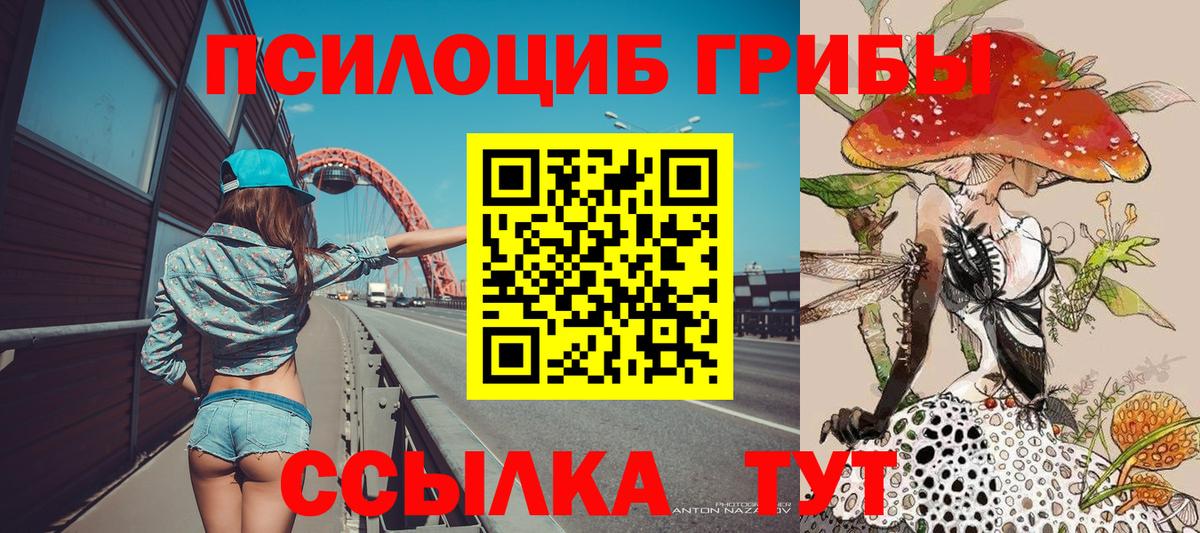 Псилоцибиновые грибы Magic Shrooms Карачаевск