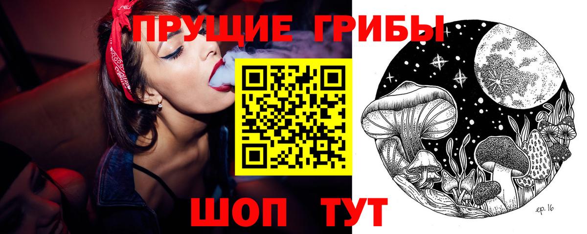 Галлюциногенные грибы прущие грибы  наркотики  Галлюциногенные грибы прущие грибы  Карачаевск  Вход с VPN 